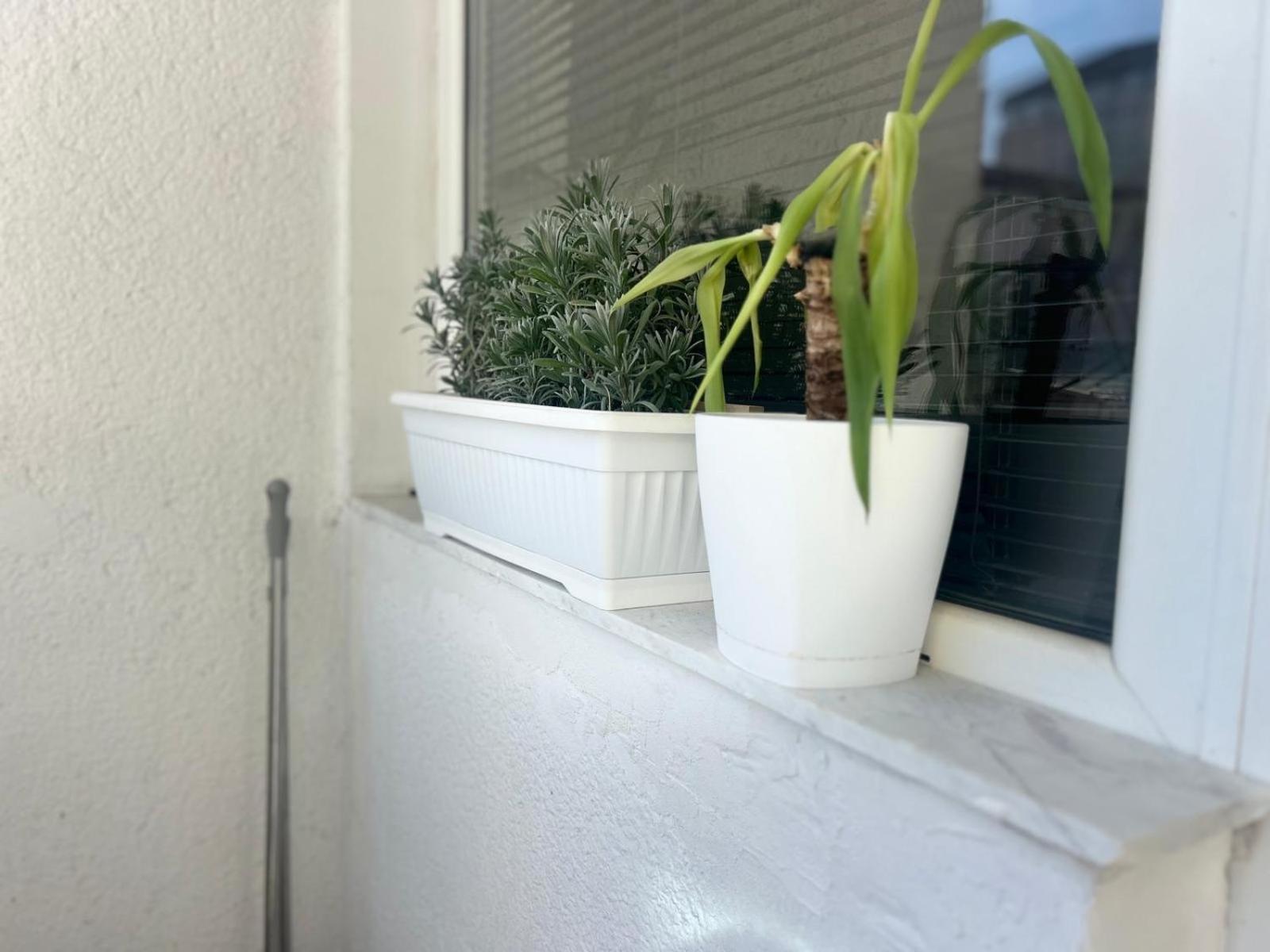 Cinema Vardar Apartment Skopje Eksteriør billede